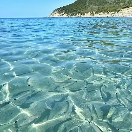 Appartamento Azzurra - Dunes, Relax And Sea View Panoramic Terrace - 500 Mt Far From The - Full Comfort For Memorable Holidays In Sardinia - Italy