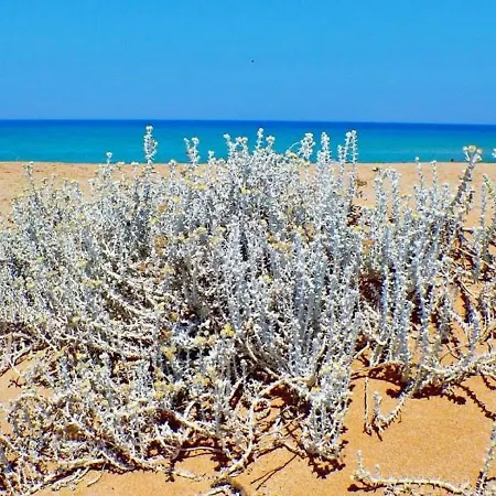 Azzurra - Dunes, Relax And Sea View Panoramic Terrace - 500 Mt Far From The - Full Comfort For Memorable Holidays In Sardinia - Italy شقة